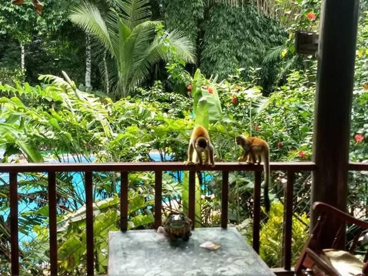 Manuel Antonio Park House - Adults Only Hotel Exterior photo